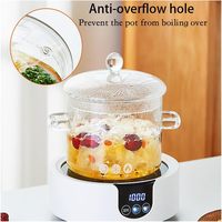 Marmite de cuisson en verre borosilicate pour four électrique en céramique, épaissie, à double anse, pour usage domestique, pour mijoter