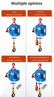 Palans électriques portables en acier 3-en-1 de 500 kg, commande à distance sans fil, hauteur de levage de 7,6 m, pour la construction et les hôtels, directement de l'usine