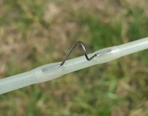 <span class=keywords><strong>Canne</strong></span> à <span class=keywords><strong>mouche</strong></span> <span class=keywords><strong>nymphe</strong></span> en fibre de verre de 7 '3 # pour la pêche en rivière, Panfish/truite FPR <span class=keywords><strong>canne</strong></span> à <span class=keywords><strong>mouche</strong></span> modérée et lente pour truite - Product Image 4