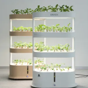 The top of the hydroponic system can be planted HYdroponic system