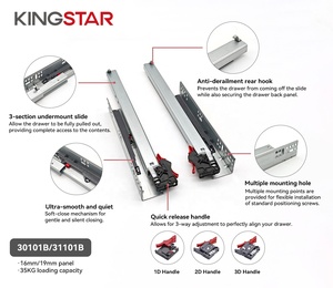 Cassetto a Scomparsa Kingstar Moderno con Chiusura Ammortizzata, Capacità di Carico 35kg, Acciaio Zincato 1.0/1.4/1.8mm per Cucina - Product Image 6