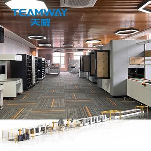 Línea de Ensamblaje Automatizada de Módulos y Paquetes de Baterías Prismáticas con Diseño de Línea Recta y Grúa Giratoria - Product Image 6