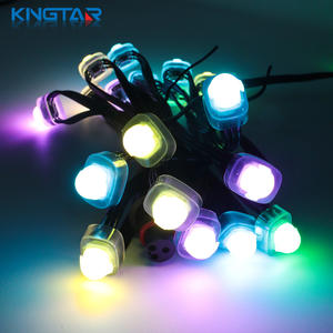 DC5V 12mm <span class=keywords><strong>RGB</strong></span> <span class=keywords><strong>LED</strong></span> Pixels Light IP67 FW1903 Luces de Navidad de plástico para uso en paisajes y parques temáticos - Product Image 6