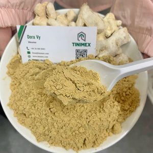 Jengibre en Polvo de Alta Calidad, 20 kg/bolsa de PP, 15 kg/caja, Empaque de Fabricante Vietnamita, Venta al por Mayor para Pedidos al por Mayor, Nueva Temporada - Product Image 6