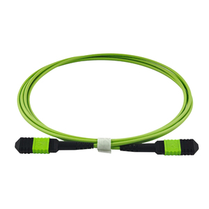 MTP MPO OM5 20m 定制低损耗主干光缆，用于人工智能网络集成 40G 100G 400G - Product Image 1