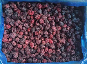 Mûres surgelées 100% matière première fraîche, mûres traitées par IQF pour vos délices culinaires - Product Image 3