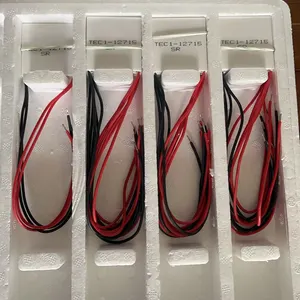 <span class=keywords><strong>TEC1</strong></span>-12715 Tec Nhiệt <span class=keywords><strong>Cooler</strong></span> <span class=keywords><strong>Peltier</strong></span> <span class=keywords><strong>Tec1</strong></span> 12706 12V 15A 40*40 mét <span class=keywords><strong>Peltier</strong></span> elemente mô-đun tấm làm mát - Product Image 3