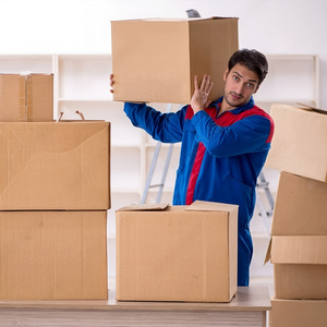 Ful <span class=keywords><strong>Container</strong></span> vận chuyển đường biển nhanh chóng vận chuyển từ thâm quyến Ningbo qindao Thượng Hải vận chuyển hàng hóa giao nhận để tất cả các nơi trên thế giới - Product Image 1