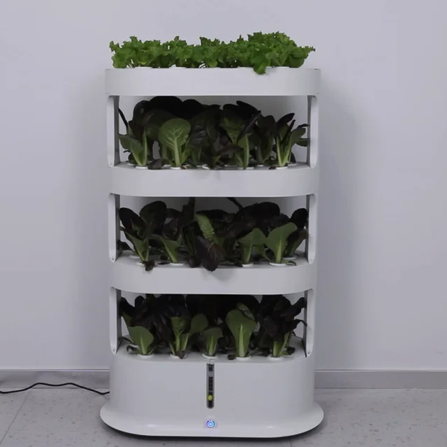 Energy Saving Environmental protection Soilless Cultivation System Vegetable Growth Box