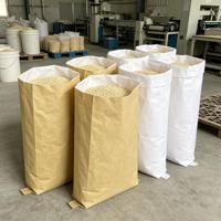 Sacs en papier kraft composites en PP tissé avec doublure en HDPE robuste, conçus sur mesure pour l'emballage du ciment, des colorants et des produits chimiques