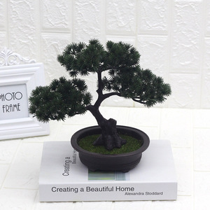 Albero dei <span class=keywords><strong>Bonsai</strong></span> di Podocarpus di alta qualità a basso costo per la decorazione della tavola Mini pianta naturale per <span class=keywords><strong>Bonsai</strong></span> artificiali dell'hotel dell'<span class=keywords><strong>interno</strong></span> all'aperto - Product Image 5