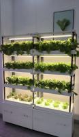 Système de culture hydroponique verticale automatique pour la maison avec pompe, matériaux écologiques de qualité alimentaire pour l'agriculture intérieure/extérieure
