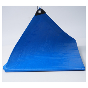Bâche en PE <span class=keywords><strong>renforcée</strong></span> <span class=keywords><strong>transparente</strong></span> 140 g/m² - Protection contre la pluie et la grêle pour les plantations de cerises - Product Image 5