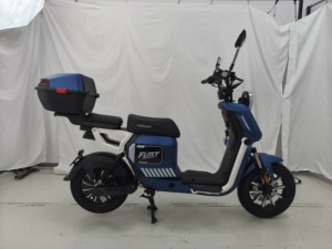 Motocicleta Eléctrica Urbana de Alto Rendimiento, 800W, 48V, de Una Sola Velocidad - Product Image 1