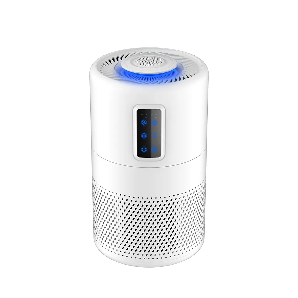Meilleur purificateur d'air pour Blue Home avec H13 HEPA Can Portable