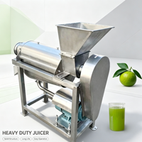 Machine à jus à vis haute efficacité, extracteur de jus multifonctionnel pour fruits et légumes