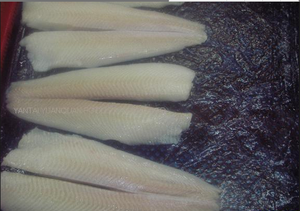 Nueva temporada, la mejor calidad, filete de fletán de Groenlandia, peces sin piel - Product Image 4
