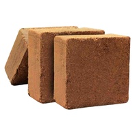 TOP PRODUIT EXPORTATION DU VIETNAM/ COCOPEAT BLOCK/HAUTE QUALITÉ ET PRIX CONCURRENTIEL POUR L'EXPORTATION