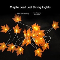 Guirlande lumineuse LED feuille d'érable blanc chaud pour Thanksgiving, étanche IP44, à piles, décorations festives sur le thème de l'automne