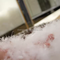 Vente en gros duvet de canard blanc en plumes d'oie veste bon marché rembourrée en duvet pour couettes oreillers coussins