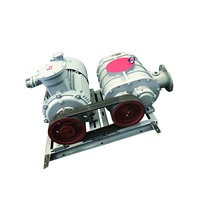 Souffleur à lobes en fonte haute pression et robuste pour l'aération des eaux usées 24h/24 et 7j/7, avec capteurs de température doubles pour éviter la surchauffe des roulements