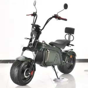 Motocicleta eléctrica, ciclomotor hecho en China, Chopper de acero, en venta