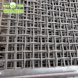 In Acciaio Inox A Doppia Crimp Wire Mesh