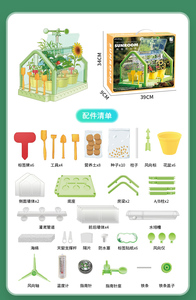 Stelo che coltiva il labirinto di piante giocattolo fai da te che piantano la stazione meteorologica della stanza del sole sperimenta esperimenti scientifici - Product Image 5