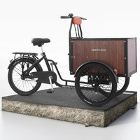 Nouveau tricycle portable à pédales pour adultes, personnes d'âge moyen et âgées, pour le transport de marchandises, les courses et l'exercice, avec une capacité de charge de 200 kg
