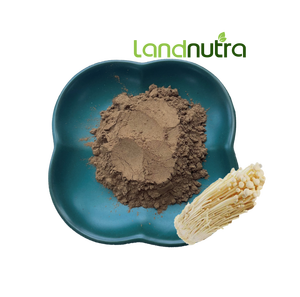 สารต้านอนุมูลอิสระ, เห็ดกินได้ยอดนิยม: f.velutipes/ เห็ด Enoki/สารสกัดจากเห็ดเข็มทอง - Product Image 2