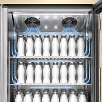 Fermenteur à yaourt de qualité industrielle pour la restauration, cuisine professionnelle, avec refroidissement de 2 à 8 degrés et corps en acier inoxydable