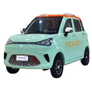 electric car wholesale/enclosed mini electric car/electric+car for family use
