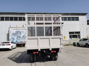 Nuovo autocarro con cassone ribaltabile agricolo 4x2 Diesel con cuscinetto motore Mini segmento di camion per uso ingegneristico sterzo sinistro - Product Image 5