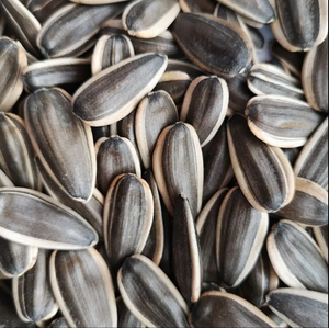 بذور عباد الشمس عالية الجودة بالجملة بذور البطيخ مورد رخيص - Product Image 2