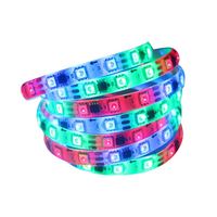 Fée Guirlande Lumineuse Étoilée WS2811 WS2812 RGB 12V 24V LED Lumières Pour Mariage De Noël Halloween Décoration De Vacances En Plein Air