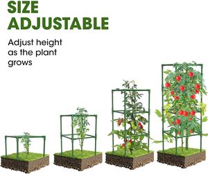Classiche gabbie di pomodoro in metallo 3 confezioni di pali quadrati <span class=keywords><strong>per</strong></span> piante a traliccio non rivestiti <span class=keywords><strong>per</strong></span> ortaggi da <span class=keywords><strong>giardino</strong></span> - Product Image 2