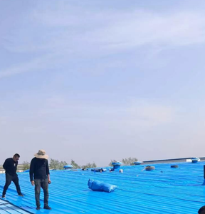 Feuille d'étanchéité pour carreaux de fer-PE, vert approuvé, abaissement de la température, effet de refroidissement, pelage et collage simples - Product Image 4