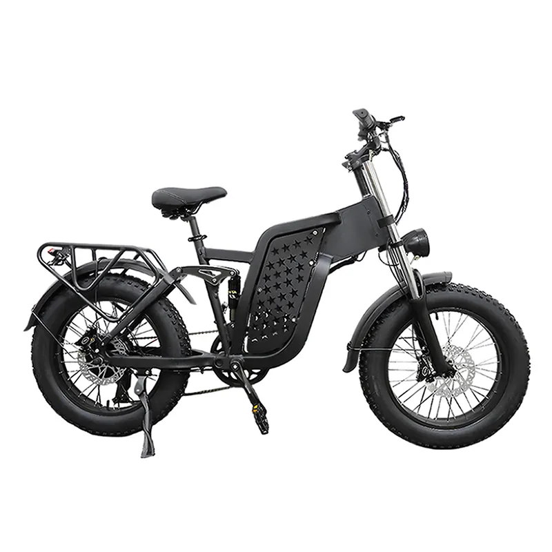 500W 1000W 48V 10AH 15AH 20AH 25AH 30AH batteria al litio in lega di alluminio 7 velocità adulto OEM 20 pollici grasso pneumatico E bici eBike elettrico