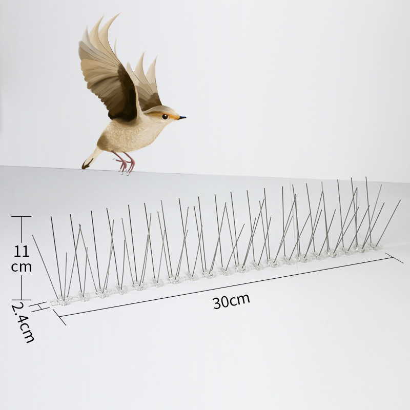 30cm