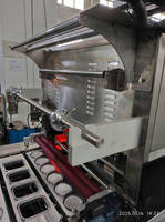 Machine de remplissage et d'emballage automatique multi-têtes à haute vitesse pour coupes de fruits surgelés (2, 4 ou 6 lignes)