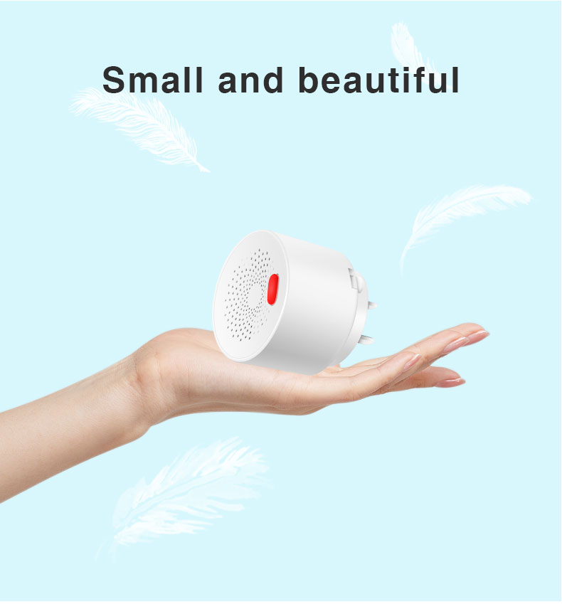 Small and beautiful