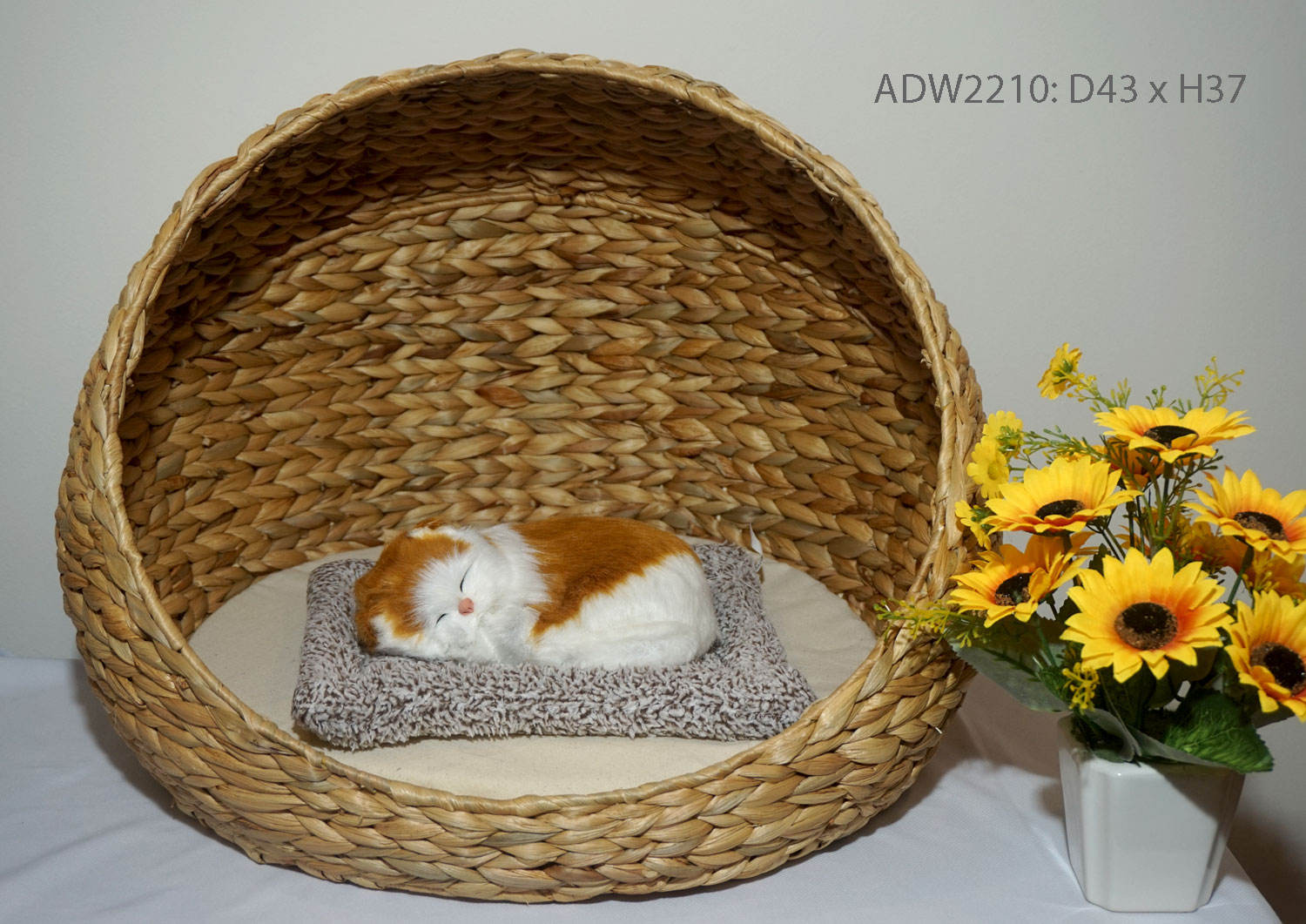 ธรรมชาติ