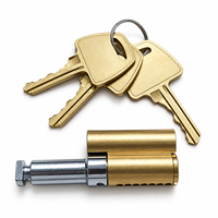 Cylindre de serrure à goupilles en laiton avec 3 clés incluses, gorge personnalisable, pour cadenas et serrures de porte