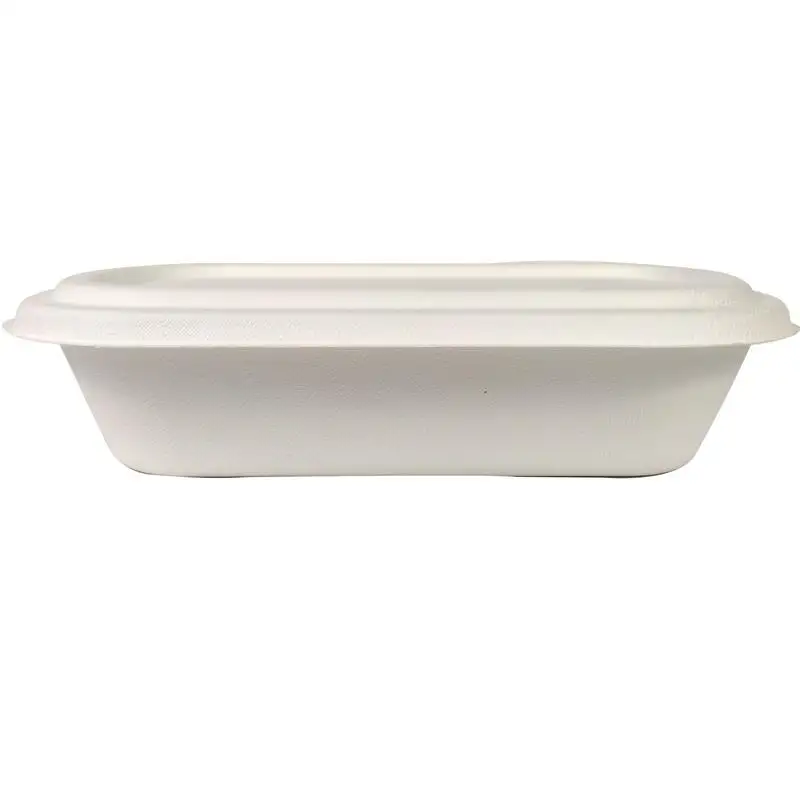 EcoNewLeaf 1000ML Take Away 3 Compartment Corn Starch Disposable Trays Biodegradable Fast Food Packaging