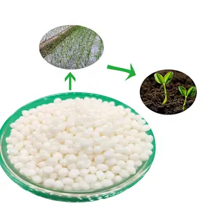 Raw Material PCL 100% Eco-friendly Biodegradable PBAT/PLA/PHA Resin Plastic Granule/Resin/Pellet, factory supply