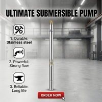 Pompe immergée monophasée premium 3 pouces en acier inoxydable 304, 3 m³/h, 37 étages, hauteur de refoulement 149 m pour l'irrigation agricole et l'eau industrielle