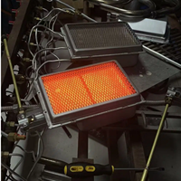 Brûleur à gaz infrarouge en céramique robuste et durable à pression moyenne avec grille, à haut rendement thermique