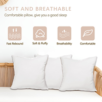 Weißes Kisseneinlagen-Set, 2 Stück, verschiedene Größen, Großhandel, Kisseneinlagen mit 100 % Baumwollbezug, Zierkisseneinlagen für Sofa, Innenbereich