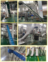Petite machine inclinée de convoyeur à bande de catégorie comestible de prix usine pour l'industrie alimentaire, système de convoyeur pour le fruit