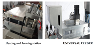 Machine d'emballage sous blister entièrement automatique DPP-260 pour comprimés, pilules et capsules en aluminium/PVC
